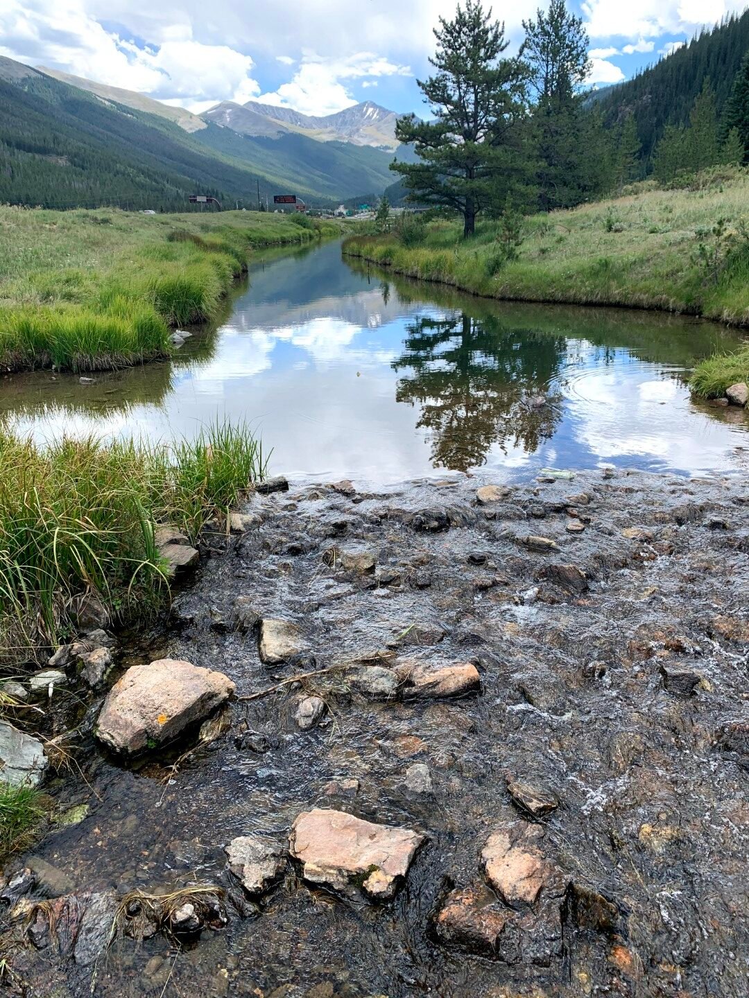 Mountain stream with trees and distant mountains.