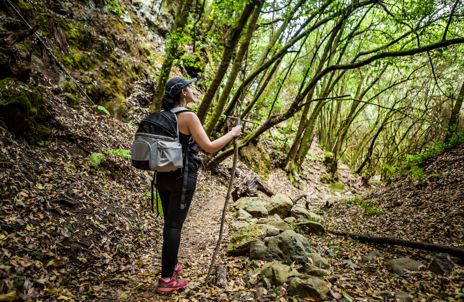 Woman hiking in lush forest with backpack.