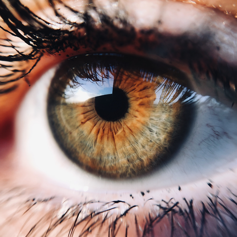 Close-up of a brown human eye with lashes.