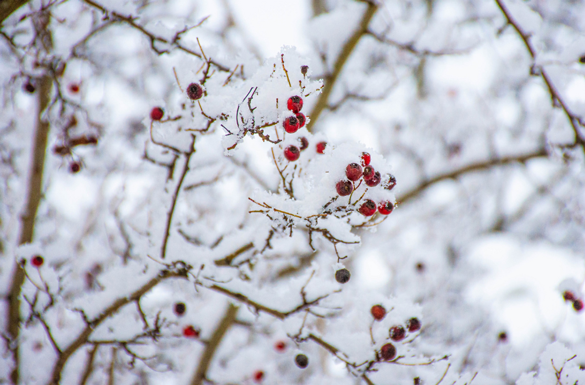 Grief and Trauma Therapy at Creating Space Therapy in-person in Batavia and online in Illinois.