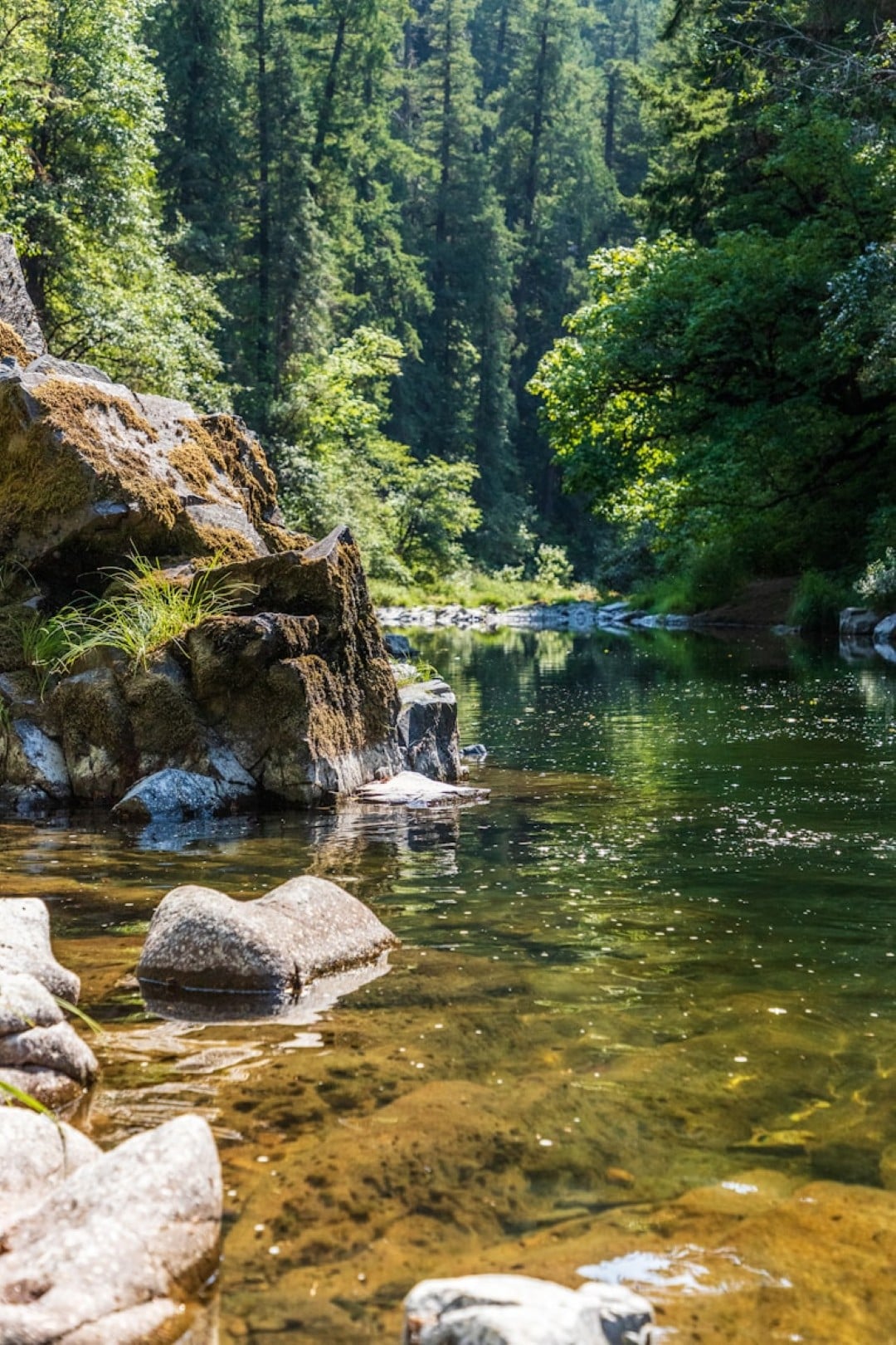 Serene forest creek with clear water and rocks